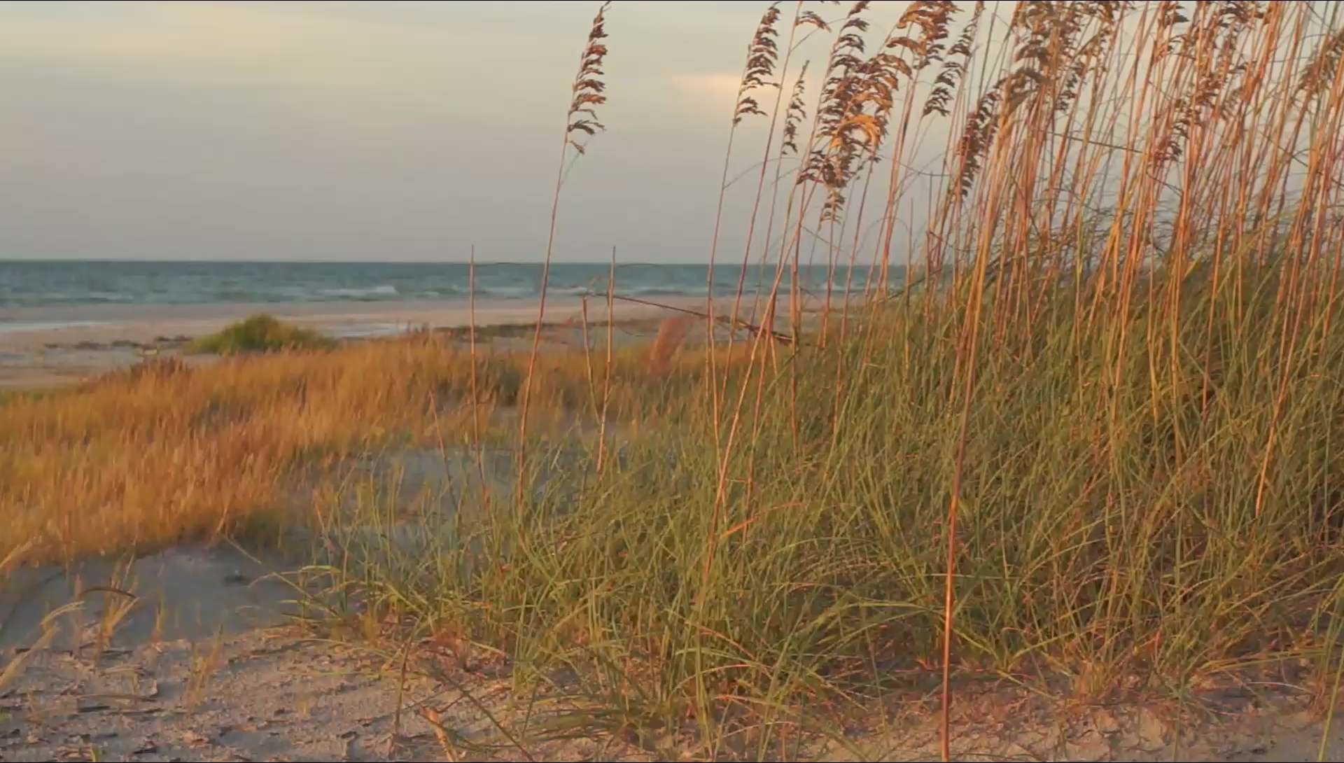 The Dunes Virginia Beach