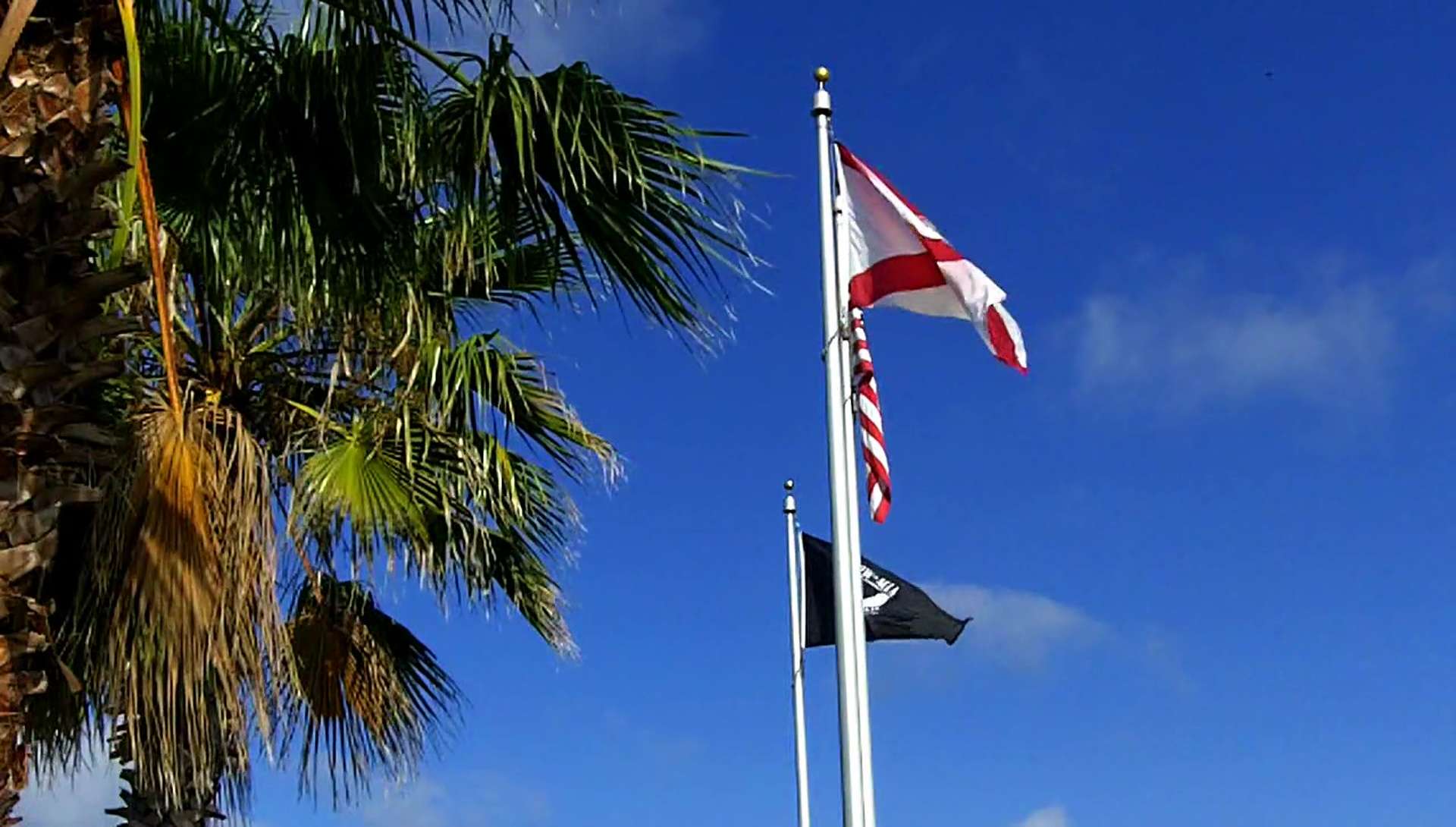 free-florida-state-flag-stock-video-footage-vidsplay