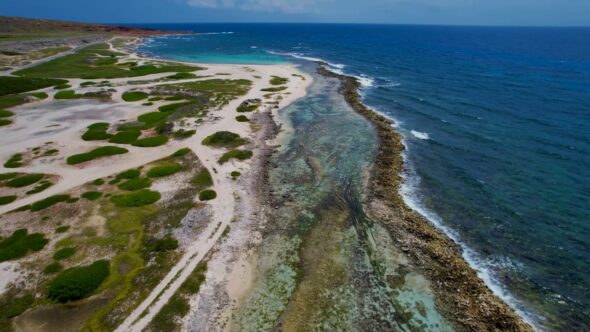 Island Tropical Coast