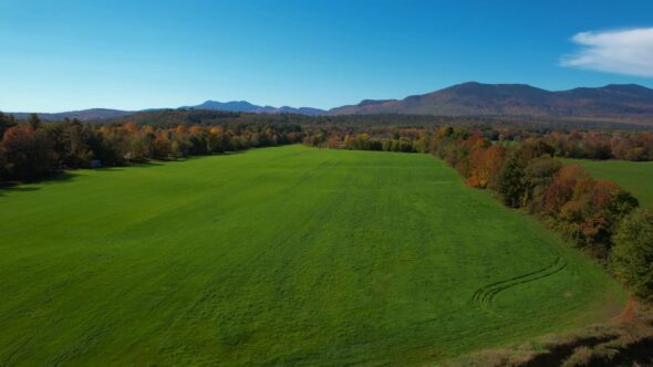 Scenic Fall Landscape