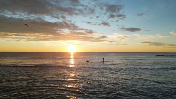 Ocean Surfer Sunset