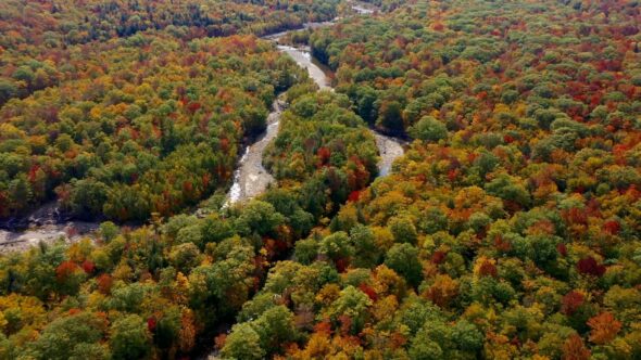 Fall Foliage Aerial