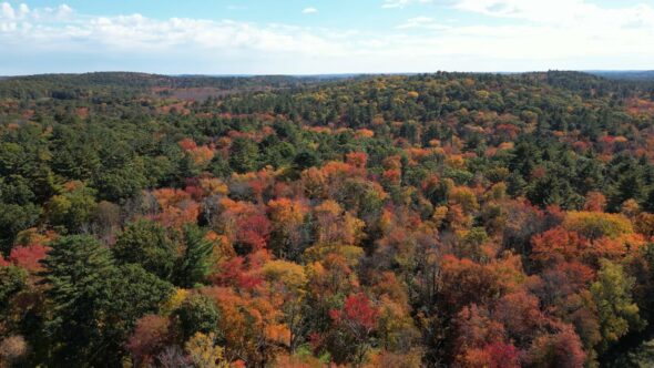 Fall Colors New England